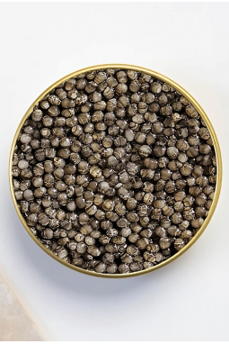 10 gr caviale Royal Beluga Iraniano