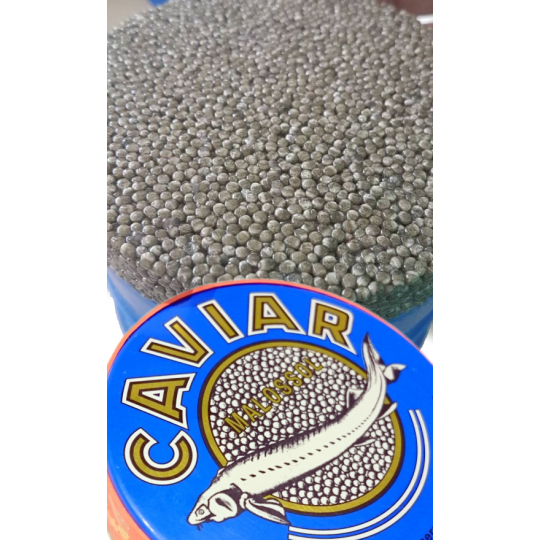 1kg Caviale Beluga in Latta Originale 1kg Caviale Beluga in Latta Originale